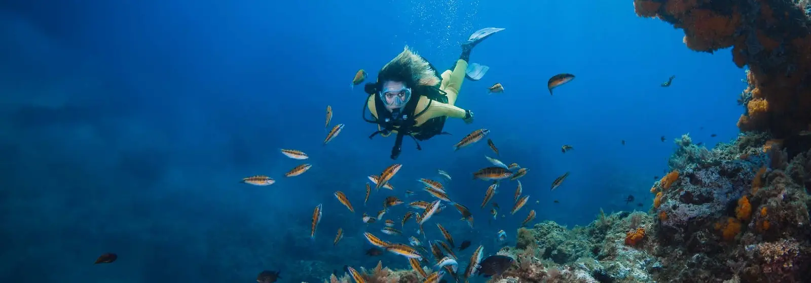 Scuba diving activity exploring rich marine biodiversity and natural coral reefs near Pearlside Marina Residences Sobha Siniya Island.